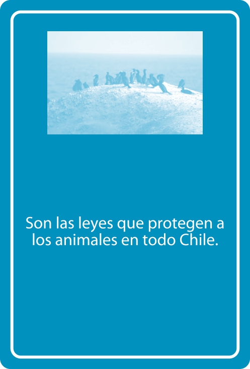 Portada Reverso